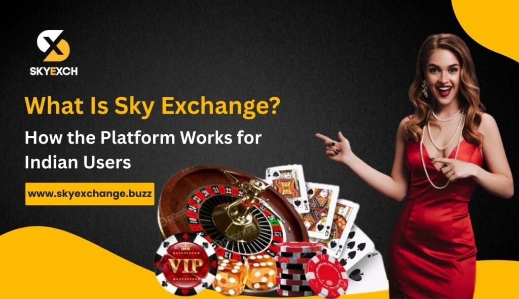 What Is Sky Exchange_ How the Platform Works for Indian Users